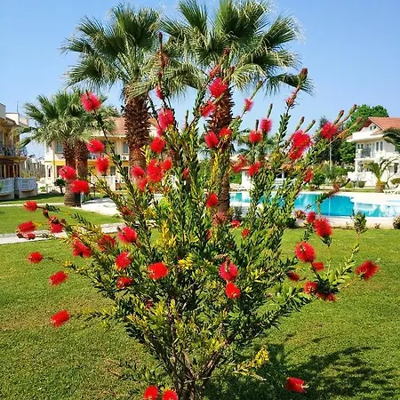 Beatiful With Two Pools And Garden *